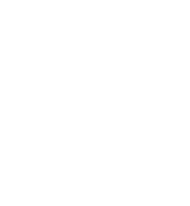 Flyway